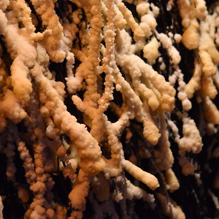 Centrum Restauracyjno-Hotelowe Florres Pawlowiczki Bagian luar foto